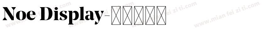 Noe Display字体转换